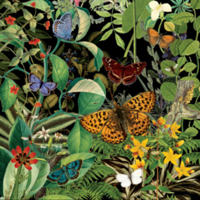 Wild at Heart #4 | Eco Love