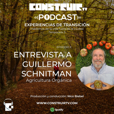 Experiencias de Transición