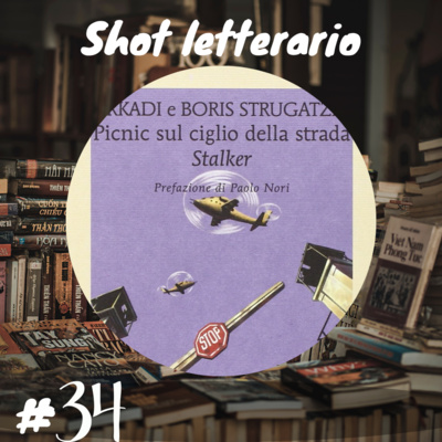 "Picnic sul ciglio della strada" (A. B. Strugackij) Ontogenesi umana episode artwork
