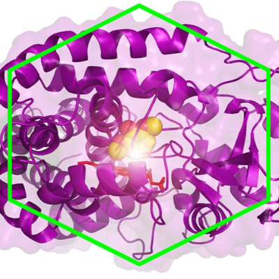 23. (1/2) Introduction & Discussion - Characterization and engineering of a two-enzyme system for plastics depolymerization