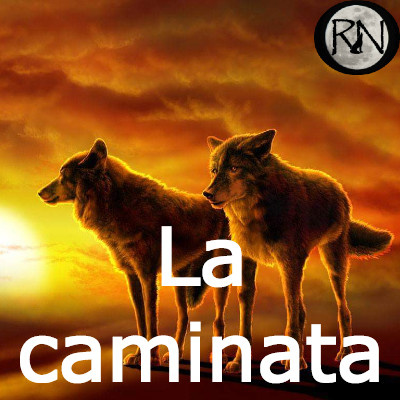 Ronda Nocturna