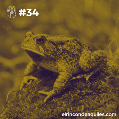 #34 Tragarte un sapo te hará más productivo | Productividad Personal (II) episode artwork