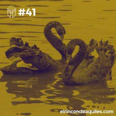 #41 Cisnes Negros: Cómo puede cambiarte la vida un suceso inesperado episode artwork