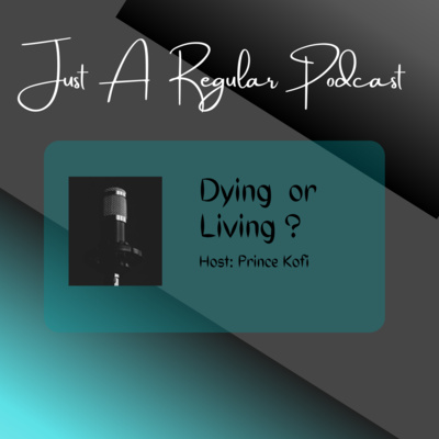 Just A Regular Podcast