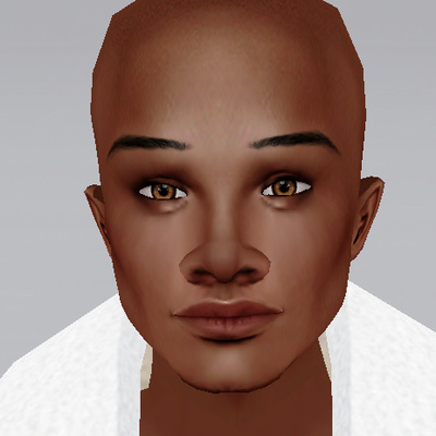 DOT PC WHM Preview Todek