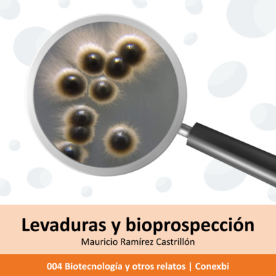Levaduras y bioprospección: más allá del pan y la cerveza