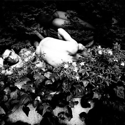 Tư duy ảnh đơn và Tư duy ảnh bộ