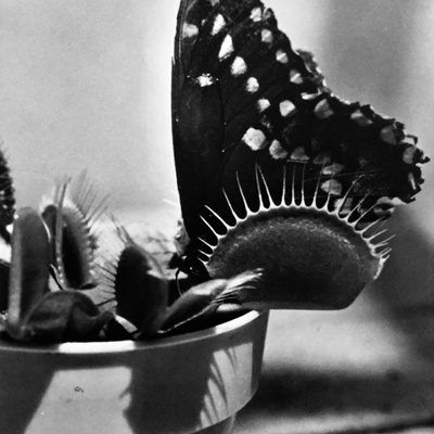 Vì sao mãi vẫn không làm được project?