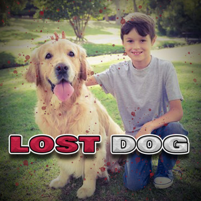 Lost Dog Lost Dog