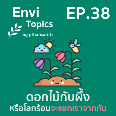 Envi Topics