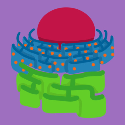 BioTime