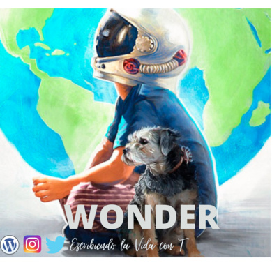 #12 | Wonder