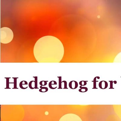 Hedgehog for Breakfast, Anyone? Life and Business Lessons from a Most Unlikely Source … A 'Coffee with Colm' Episode from the Archives