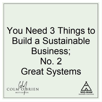 The Three Things You Must Have To Build A Sustainable Business Part 2, Great Systems - A 'Coffee with Colm' Episode from the Archives