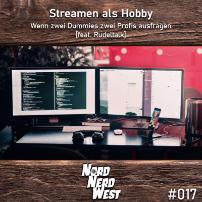 #017 Streamen als Hobby - Wenn zwei Dummies zwei Profis ausfragen [feat. Rudeltalk]