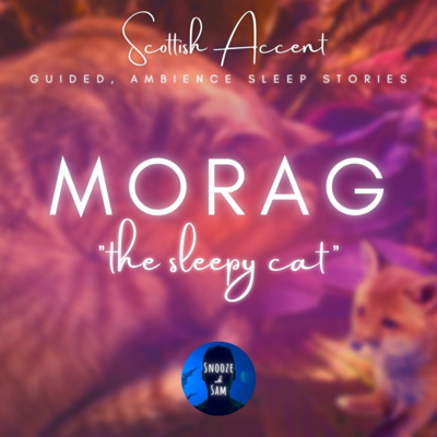 Sleepy Cat & the Fox💖🐈✨Bedtime Stories for Grown Ups | Scottish ASMR