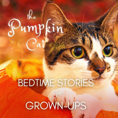 1HR Deep Sleep Story | THE PUMPKIN CAT | Calm Autumn Sleep Story for Grown Ups (fire sounds)