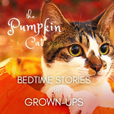 1HR Deep Sleep Story | THE PUMPKIN CAT | Calm Autumn Sleep Story for Grown Ups (fire sounds)