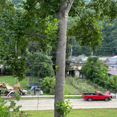 People in five rural Kentucky counties are fighting their way back after catastrophic flooding episode artwork