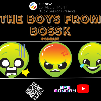 The New Establishment podcasts