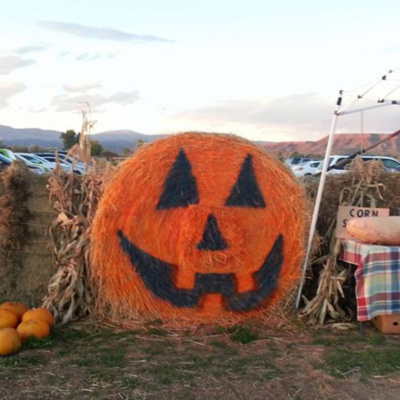 Jesse Harrison Lapoint Corn Maze and Pumpkin Patch