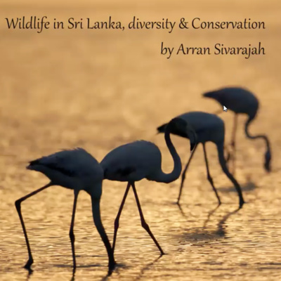 Wild life in Sri Lanka, Diversity & Conservation.