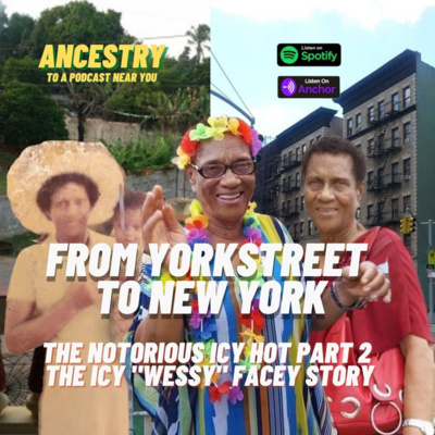 B. Honest Network