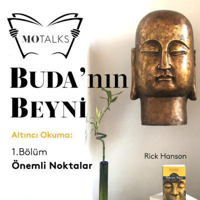 6 I Buda’nın Beyni: 1.Bölüm Önemli Noktalar