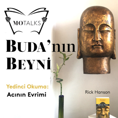 7 I Buda’nın Beyni: Acının Evrimi