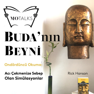 14. Okuma I Buda’nın Beyni: Acı Çekmenize Sebep Olan Simülasyonlar