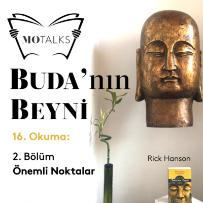 16. Okuma I Buda’nın Beyni: 2. Bölüm Önemli Noktalar