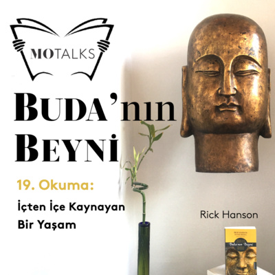 19. Okuma I Buda’nın Beyni: İçten İçe Kaynayan Bir Yaşam