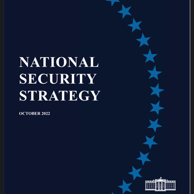 The National Security Strategy (NSS)