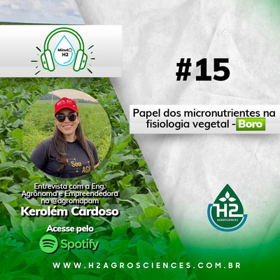 Papel dos micronutrientes na fisiologia vegetal - BORO