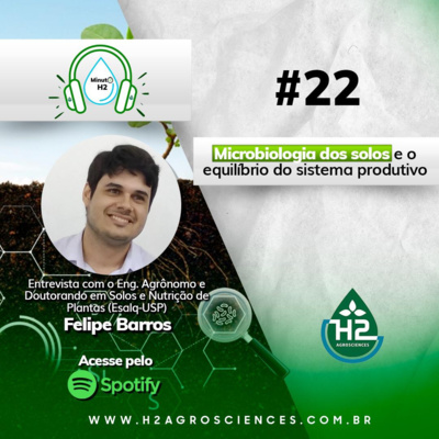 Microbiologia do solo e o equilíbrio do sistema produtivo