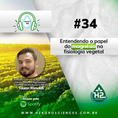 Entendendo o papel do magnésio na fisiologia vegetal