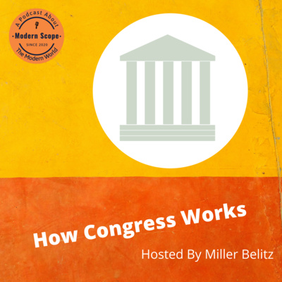 How Congress Works
