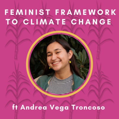 Feminists Frameworks to Climate Change