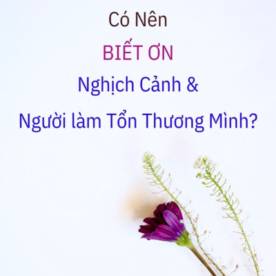 64. Có nên BIẾT ƠN NGHỊCH CẢNH, NHỮNG NGƯỜI LÀM TỔN THƯƠNG MÌNH, hay VIỆC BẤT NHƯ Ý không?