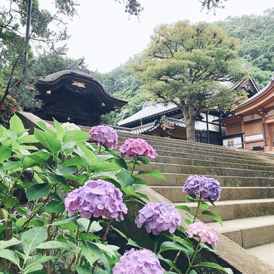 東京台灣女子俱樂部 A Podcast On Anchor