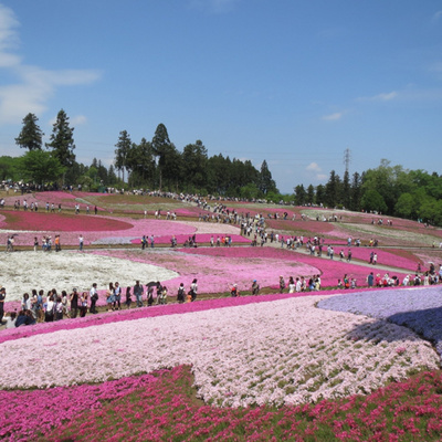東京台灣女子俱樂部 A Podcast On Anchor