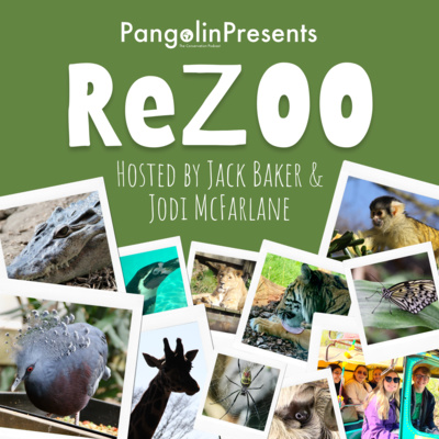 Pangolin: The Conservation Podcast
