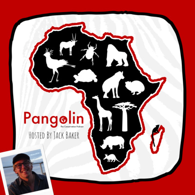 Pangolin: The Conservation Podcast