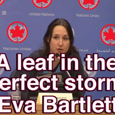 A leaf in the perfect storm: RWA interview with Eva Bartlett