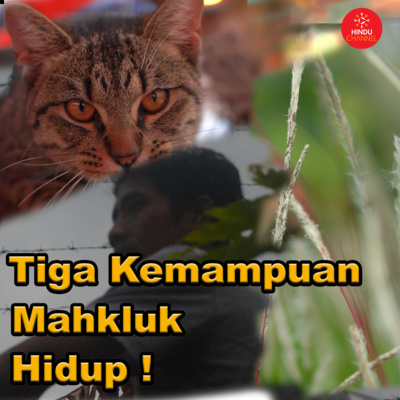 Hakikat Ajaran Tri Pramana By Hindu Channel A Podcast On Anchor