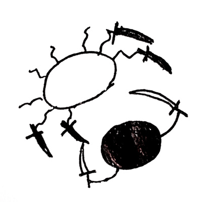 For Whom the Cell Tolls: Cancer Biology