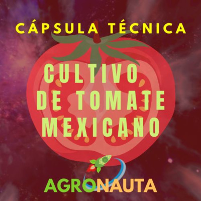 Episodio 22 T3: Producción de Tomate Mexicano