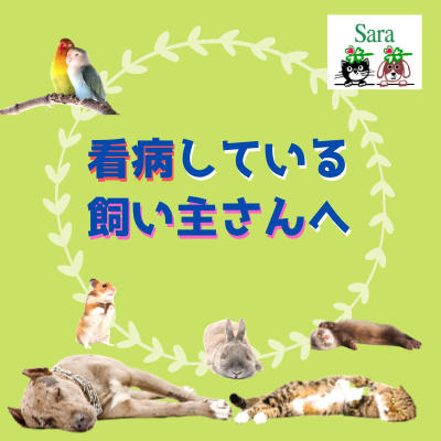 #236. 看病している飼い主さんへ：あなたが健康でないとペット動物たちは幸せになれない episode artwork
