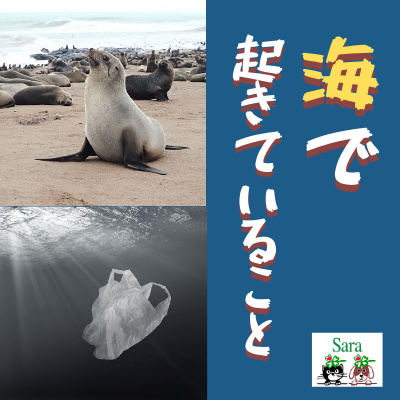 #238. 死亡原因がプラスチック？今アフリカの海岸で起きていること・・ episode artwork