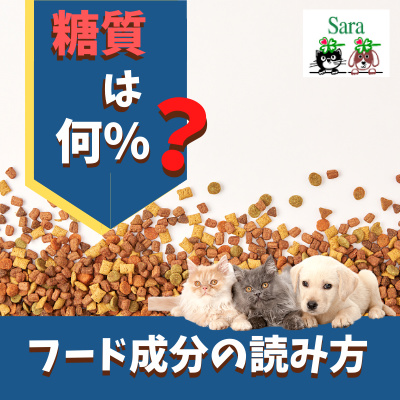 #240. ペットフードのラベルをチェックしよう！糖質どれくらい与えている？ episode artwork